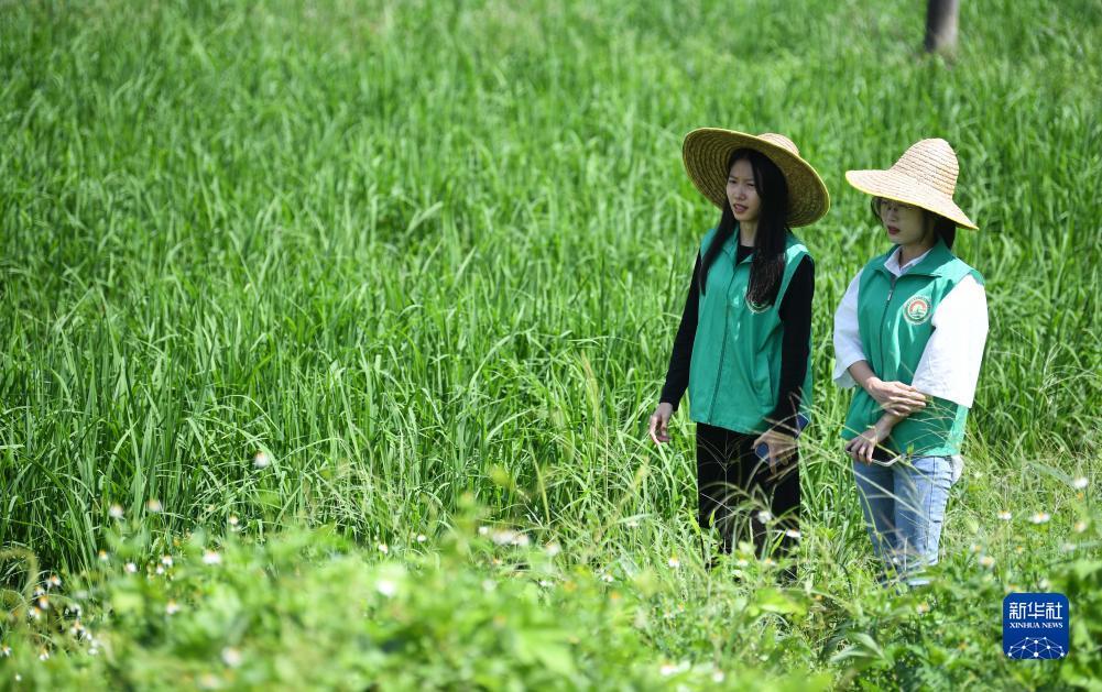免费领取188彩金游戏